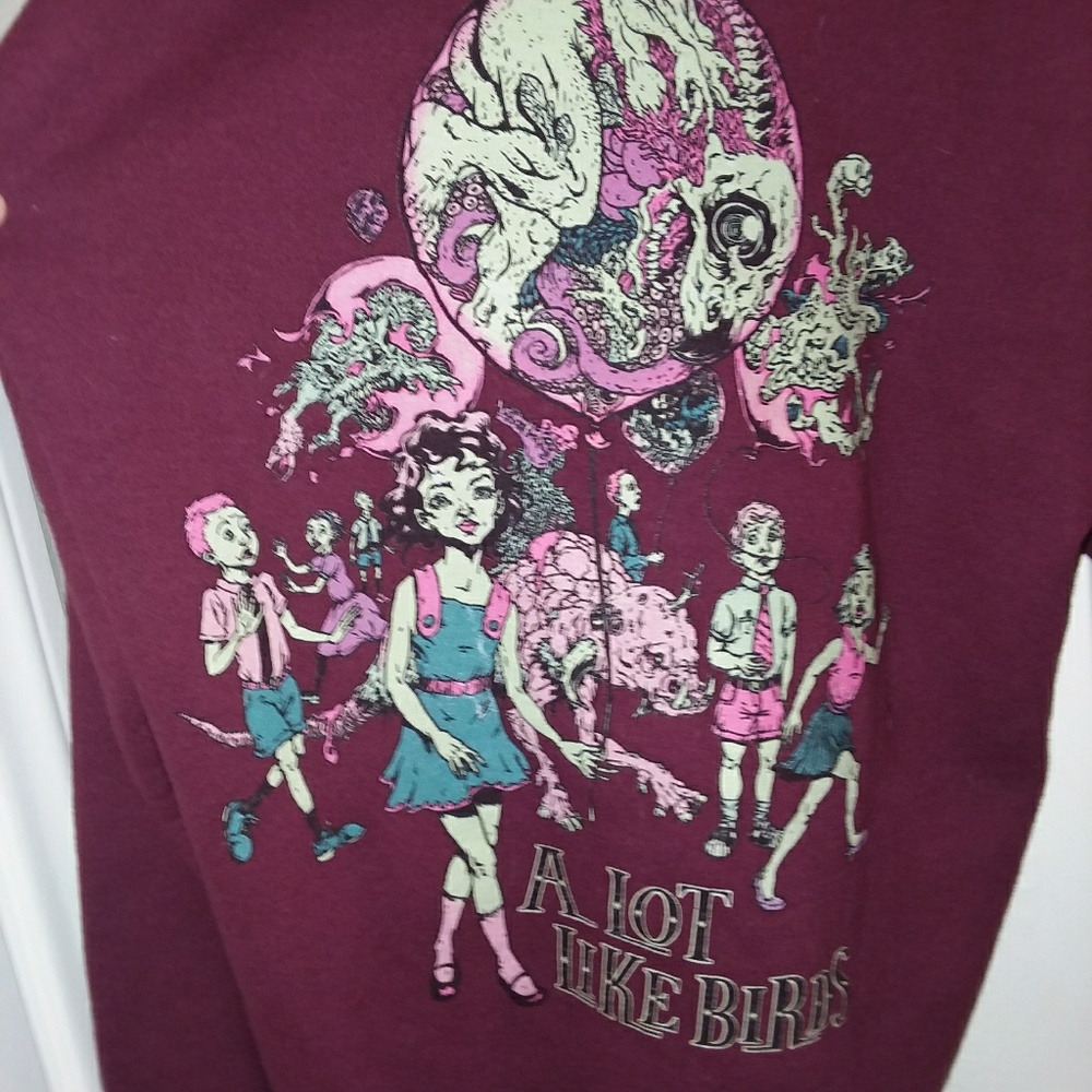 A Lot Like Birds Unisex band hoodie